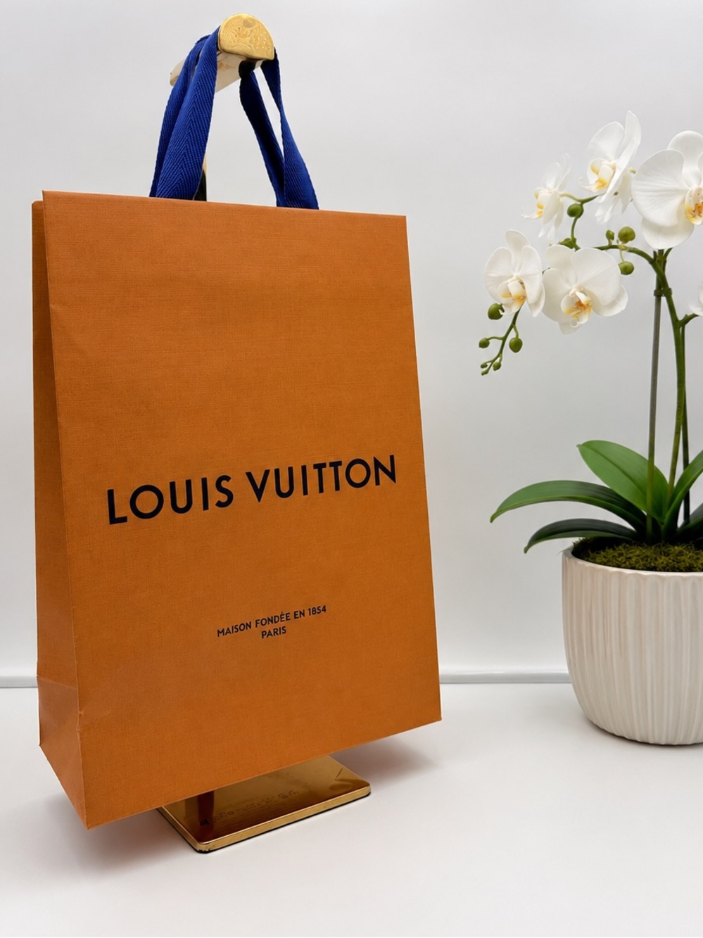 Louis Vuitton • Shopping Bag